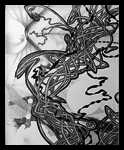 Surreal ink drawing (2013): "The Quality Of A Discord)